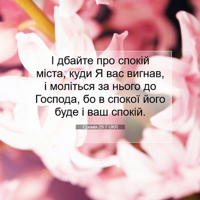 Picture 07 - Єремія 29:7 UKR - І дбайте про спокій міста, - Bible Verse Picture