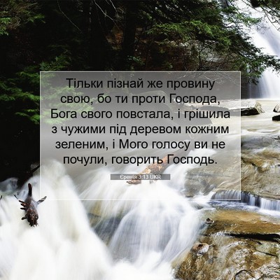 Picture 07 - Єремія 3:13 UKR - Тільки пізнай же провину - Bible Verse Picture