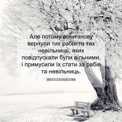 Picture 07 - Єремія 34:11 UKR - Але потому вони знову - Bible Verse Picture