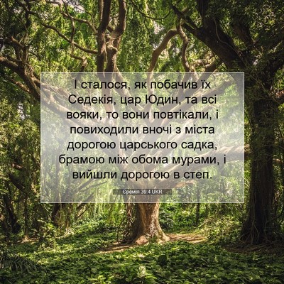 Picture 07 - Єремія 39:4 UKR - І сталося, як побачив їх - Bible Verse Picture