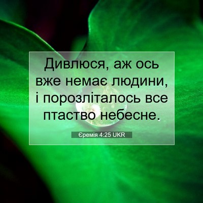 Picture 07 - Єремія 4:25 UKR - Дивлюся, аж ось вже немає - Bible Verse Picture