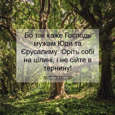 Picture 07 - Єремія 4:3 UKR - Бо так каже Господь мужам - Bible Verse Picture