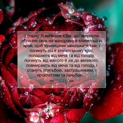 Picture 07 - Єремія 44:12 UKR - І візьму Я залишок Юди, що - Bible Verse Picture