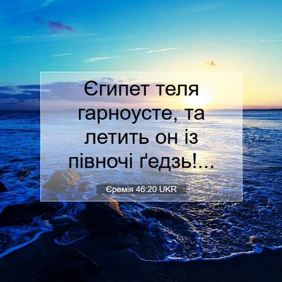 Picture 07 - Єремія 46:20 UKR - Єгипет теля гарноусте, та - Bible Verse Picture