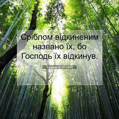 Picture 07 - Єремія 6:30 UKR - Сріблом відкиненим - Bible Verse Picture