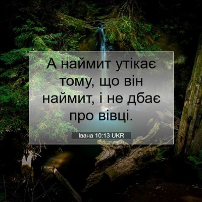 Picture 07 - Івана 10:13 UKR - А наймит утікає тому, що - Bible Verse Picture