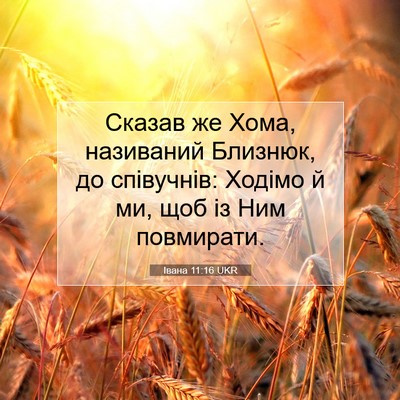 Picture 07 - Івана 11:16 UKR - Сказав же Хома, називаний - Bible Verse Picture