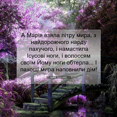 Picture 07 - Івана 12:3 UKR - А Марія взяла літру мира, з - Bible Verse Picture