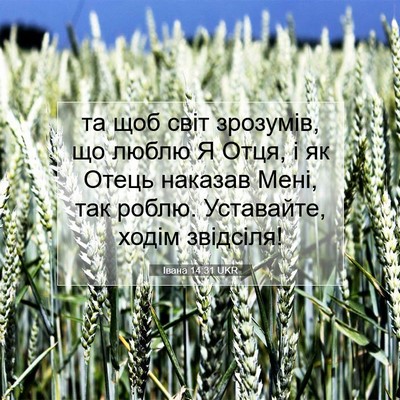 Picture 07 - Івана 14:31 UKR - та щоб світ зрозумів, що - Bible Verse Picture