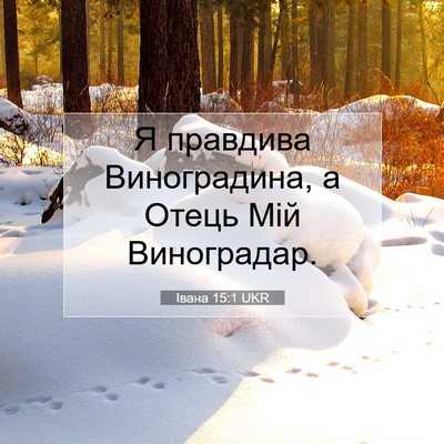 Picture 07 - Івана 15:1 UKR - Я правдива Виноградина, а - Bible Verse Picture