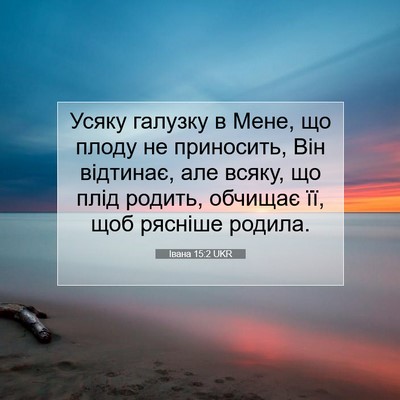 Picture 07 - Івана 15:2 UKR - Усяку галузку в Мене, що - Bible Verse Picture