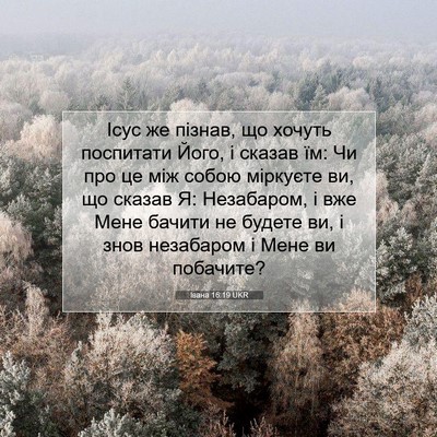 Picture 07 - Івана 16:19 UKR - Ісус же пізнав, що хочуть - Bible Verse Picture