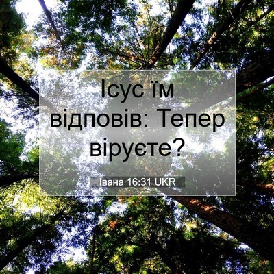 Picture 07 - Івана 16:31 UKR - Ісус їм відповів: Тепер - Bible Verse Picture