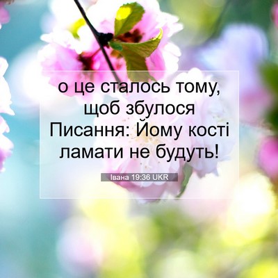 Picture 07 - Івана 19:36 UKR - о це сталось тому, щоб - Bible Verse Picture