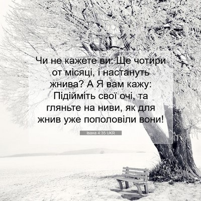 Picture 07 - Івана 4:35 UKR - Чи не кажете ви: Ще чотири - Bible Verse Picture