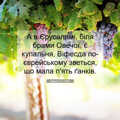 Picture 07 - Івана 5:2 UKR - А в Єрусалимі, біля брами - Bible Verse Picture