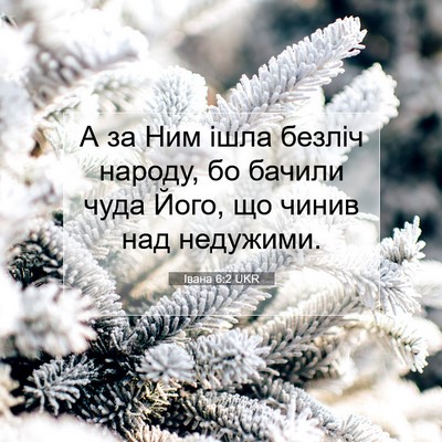 Picture 07 - Івана 6:2 UKR - А за Ним ішла безліч - Bible Verse Picture