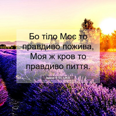 Picture 07 - Івана 6:55 UKR - Бо тіло Моє то правдиво - Bible Verse Picture