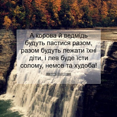 Picture 07 - Ісая 11:7 UKR - А корова й ведмідь будуть - Bible Verse Picture
