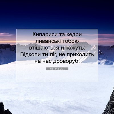 Picture 07 - Ісая 14:8 UKR - Кипариси та кедри - Bible Verse Picture