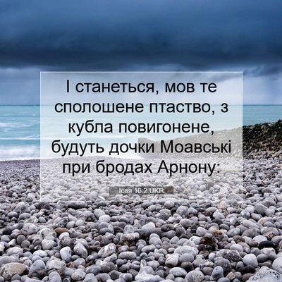 Picture 07 - Ісая 16:2 UKR - І станеться, мов те - Bible Verse Picture