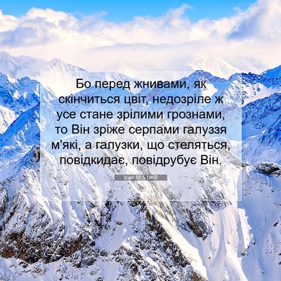 Picture 07 - Ісая 18:5 UKR - Бо перед жнивами, як - Bible Verse Picture