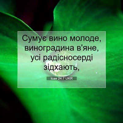 Picture 07 - Ісая 24:7 UKR - Сумує вино молоде, - Bible Verse Picture