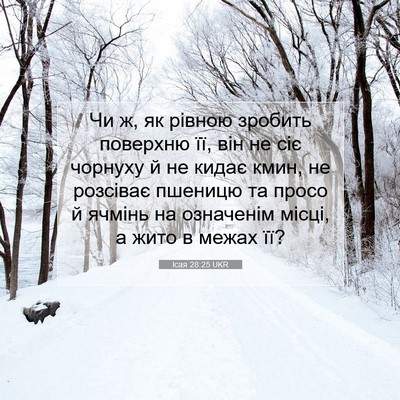 Picture 07 - Ісая 28:25 UKR - Чи ж, як рівною зробить - Bible Verse Picture