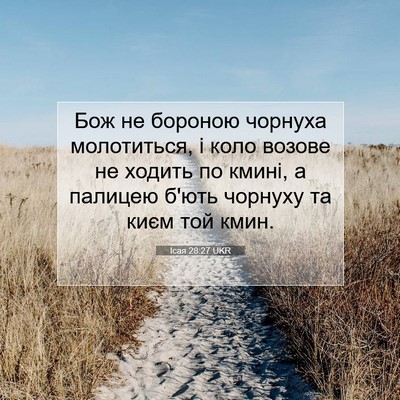 Picture 07 - Ісая 28:27 UKR - Бож не бороною чорнуха - Bible Verse Picture