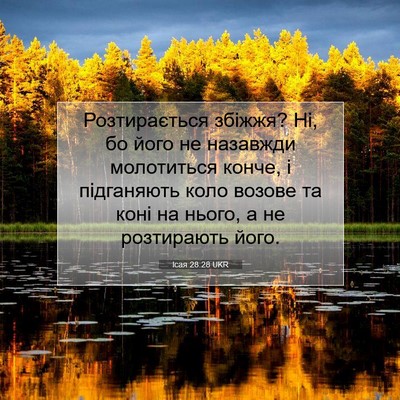 Picture 07 - Ісая 28:28 UKR - Розтирається збіжжя? Ні, бо - Bible Verse Picture