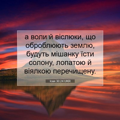Picture 07 - Ісая 30:24 UKR - а воли й віслюки, що - Bible Verse Picture