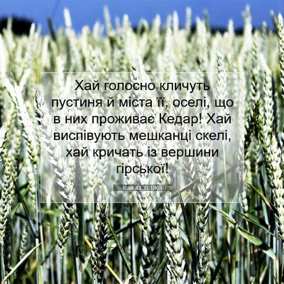 Picture 07 - Ісая 42:11 UKR - Хай голосно кличуть - Bible Verse Picture