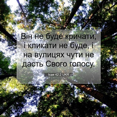Picture 07 - Ісая 42:2 UKR - Він не буде кричати, і - Bible Verse Picture