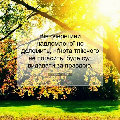 Picture 07 - Ісая 42:3 UKR - Він очеретини надломленої - Bible Verse Picture