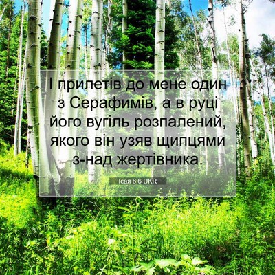 Picture 07 - Ісая 6:6 UKR - І прилетів до мене один з - Bible Verse Picture