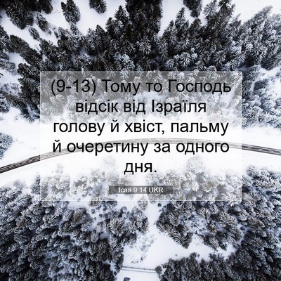Picture 07 - Ісая 9:14 UKR - (9-13) Тому то Господь відсік - Bible Verse Picture