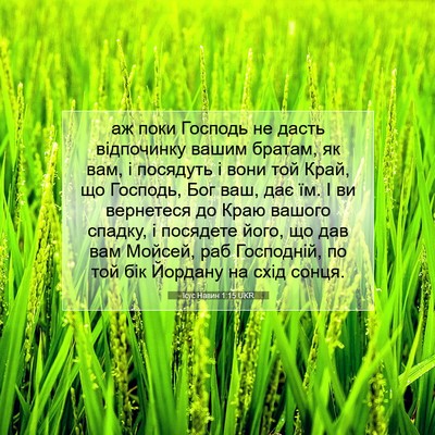 Picture 07 - Ісус Навин 1:15 UKR - аж поки Господь не дасть - Bible Verse Picture