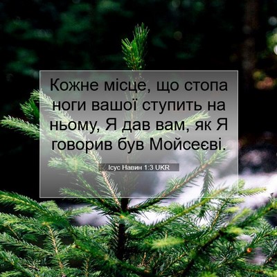 Picture 07 - Ісус Навин 1:3 UKR - Кожне місце, що стопа ноги - Bible Verse Picture