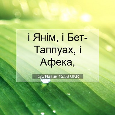 Picture 07 - Ісус Навин 15:53 UKR - і Янім, і Бет-Таппуах, і - Bible Verse Picture