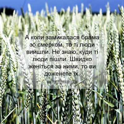 Picture 07 - Ісус Навин 2:5 UKR - А коли замикалася брама зо - Bible Verse Picture