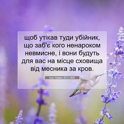Picture 07 - Ісус Навин 20:3 UKR - щоб утікав туди убійник, що - Bible Verse Picture