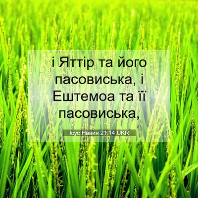 Picture 07 - Ісус Навин 21:14 UKR - і Яттір та його пасовиська, - Bible Verse Picture