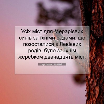 Picture 07 - Ісус Навин 21:40 UKR - Усіх міст для Мерарієвих - Bible Verse Picture