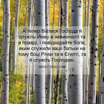 Picture 07 - Ісус Навин 24:14 UKR - А тепер бійтеся Господа й - Bible Verse Picture