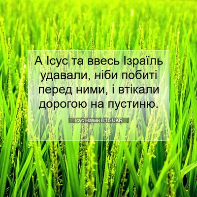 Picture 07 - Ісус Навин 8:15 UKR - А Ісус та ввесь Ізраїль - Bible Verse Picture