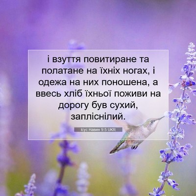 Picture 07 - Ісус Навин 9:5 UKR - і взуття повитиране та - Bible Verse Picture