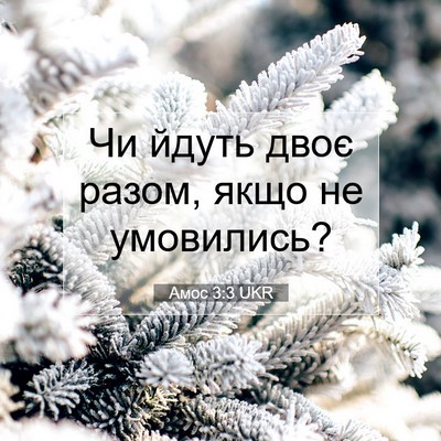 Picture 07 - Амос 3:3 UKR - Чи йдуть двоє разом, якщо - Bible Verse Picture