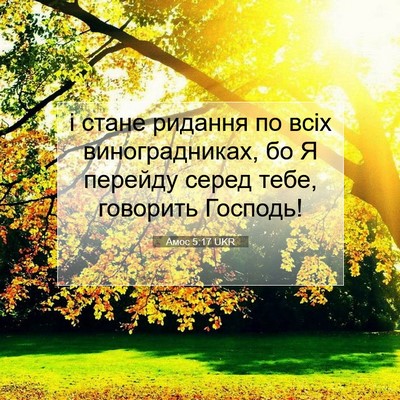 Picture 07 - Амос 5:17 UKR - і стане ридання по всіх - Bible Verse Picture