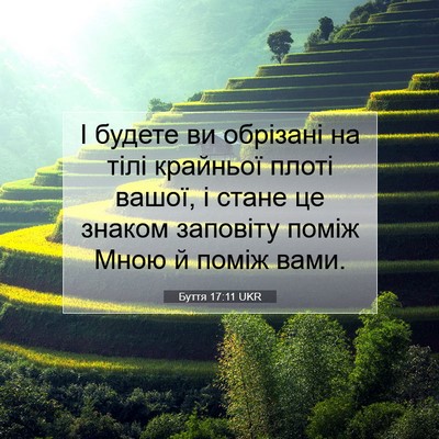 Picture 07 - Буття 17:11 UKR - І будете ви обрізані на - Bible Verse Picture