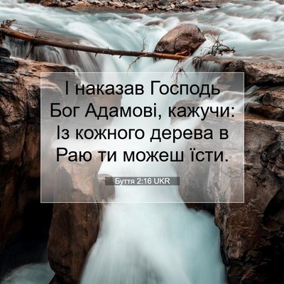 Picture 07 - Буття 2:16 UKR - І наказав Господь Бог - Bible Verse Picture